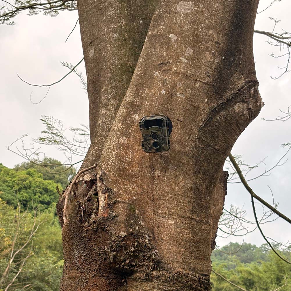 Avcılık takip kamerası 16MP 10 - Hunting Outdoor Camera incelemesi ve fiyatı