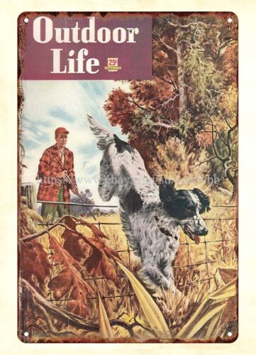 ev dekorasyonunda 1948 OUTDOOR - Hunting Dog Outdoor incelemesi ve fiyatı