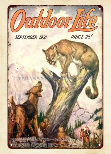 duvar resmi satın al 1921 OUTD - Hunting Dog Outdoor incelemesi ve fiyatı